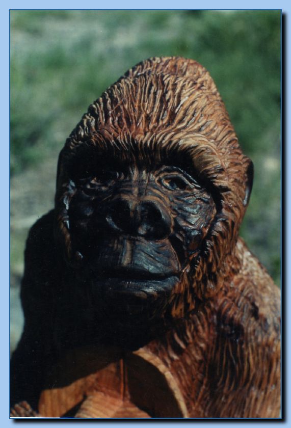 2-87 gorilla-archive-0002